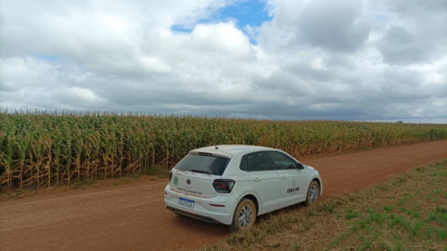 Crea-MG fiscaliza produção de grãos em Paracatu
